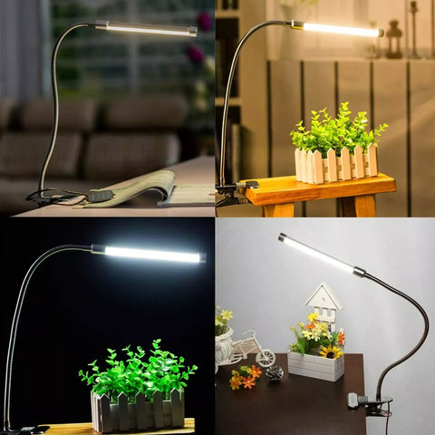 Lamp illuminating open book during nighttime reading

