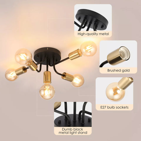 Stylish Ceiling Light Fixture with LED


