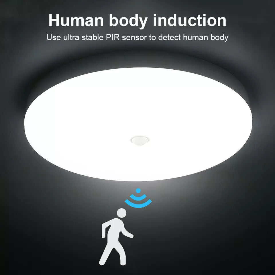 Ceiling light fixture with human body induction feature and PIR sensor illustration.