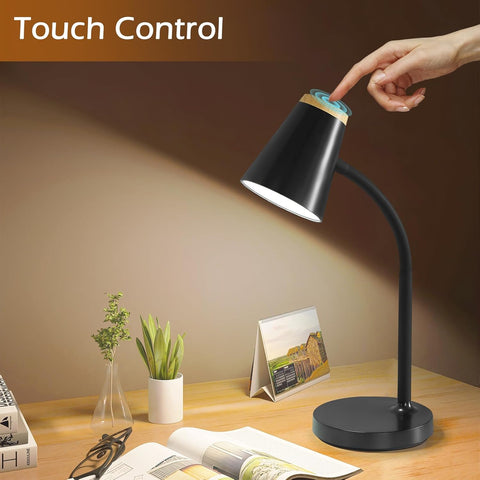 study lamp with flexible neck

